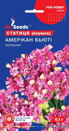Семена Статицы Американ Бьюти (0.1г), For Hobby, TM GL Seeds