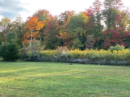 15сот.с.Музычи,Бучанского р-на,Киевской обл.. Киев. фото 1