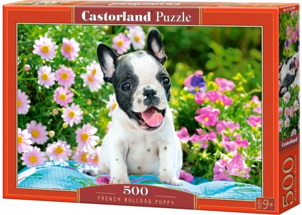 Пазл Щенок французского бульдога 500 деталей Castorland. Винница. фото 1 Пазл Щенок французского бульдога 500 деталей Castorland. Винница. фото 1
