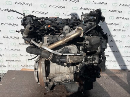 Б/у Двигатель Ford Fiesta 1.6 tdci 2008-2017 (XUJA). Ковель. фото 1 Б/у Двигатель Ford Fiesta 1.6 tdci 2008-2017 (XUJA). Ковель. фото 1