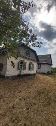 Будинок біля соснового лісу, 50 соток. Власівка. фото 1 Будинок біля соснового лісу, 50 соток. Власівка. фото 1