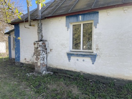 Продаж будинку с. Гостра Могила.. . фото 3 Продається будинок у центрі села Гостра Могила, всього 30 км від Білої Церкви по. . фото 3