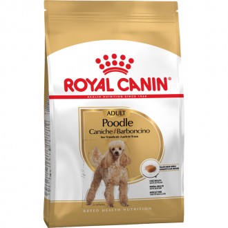 Royal Canin Royal Canin Poodle Adult 0.5 кг | Сухий Корм Для Дорослих Собак (318. Київ. фото 1 Royal Canin Royal Canin Poodle Adult 0.5 кг | Сухий Корм Для Дорослих Собак (318. Київ. фото 1