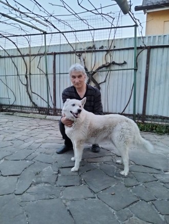 шукаю супутницю для серйозних стосунків,яка б стала близькою мені людиною,надіюс. Біла Церква. фото 1 шукаю супутницю для серйозних стосунків,яка б стала близькою мені людиною,надіюс. Біла Церква. фото 1