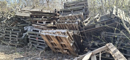 Піддон дерев'яний нестандартних габаритів. Житомир. фото 1 Піддон дерев'яний нестандартних габаритів. Житомир. фото 1
