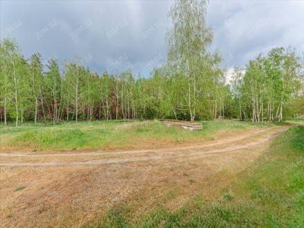 Ваш будинок та сосновий ліс в подарунок.. . фото 4 Мрієте розвивати власне господарство. Ми надаємо вам таку можливість.Свіже повіт. . фото 4