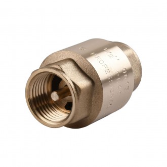 Клапан обратного хода воды Q PROFESSIONAL 1″ QP100. Чернигов. фото 1 Клапан обратного хода воды Q PROFESSIONAL 1″ QP100. Чернигов. фото 1