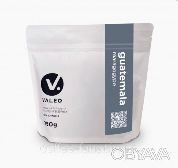 Кава в зернах Guatemala Maragogype (Гватемала Марагоджип), 100% арабіка, 250 грам