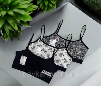 Топы пуш-ап 3шт хлопковые для девочки подростка Baykar арт 7605-139 ZEBRA Микс. Киев. фото 1 Топы пуш-ап 3шт хлопковые для девочки подростка Baykar арт 7605-139 ZEBRA Микс. Киев. фото 1