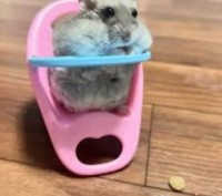 Кресло для кормления хомяка розовое + голубой столик мини-кормильное кресло 9*7*. Ивано-Франковск. фото 1 Кресло для кормления хомяка розовое + голубой столик мини-кормильное кресло 9*7*. Ивано-Франковск. фото 1
