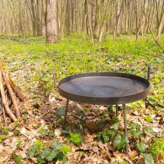 Cковородка "Диск с бортиком" - хороший вариант подарка любителям отдыха на приро. . фото 7