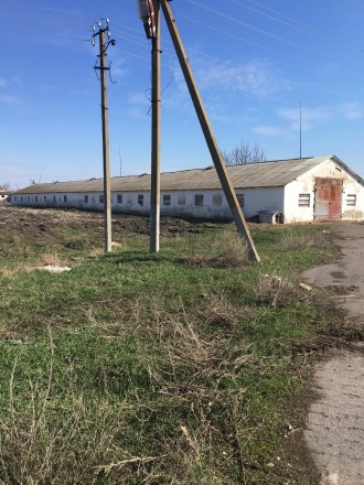 Продам приміщення тваринницької ферми. Ружин. фото 1 Продам приміщення тваринницької ферми. Ружин. фото 1