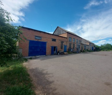 Промислове приміщення. Диканька. фото 3 Продам промислове приміщення 580кв.м., яке знаходиться на приватизованій ділянці. Диканька. фото 3