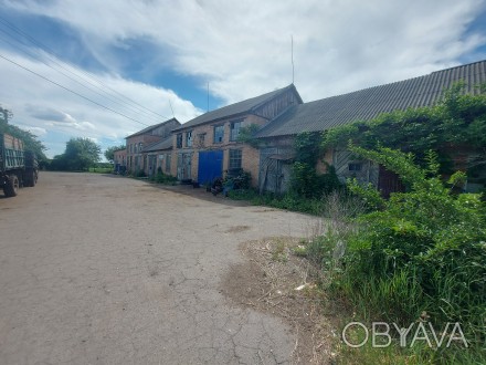 Промислове приміщення. Диканька. фото 1 Продам промислове приміщення 580кв.м., яке знаходиться на приватизованій ділянці. Диканька. фото 1