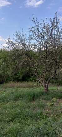 Продається житловий будинок у селі Петрівка— можливість створити дім мрії!. . фото 10