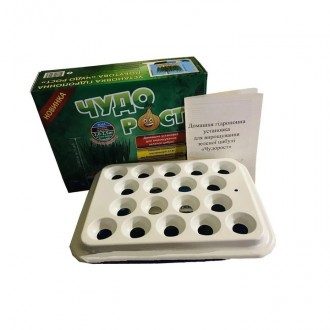 Домашняя установка для выращивания зеленого лука "Чудорост". Черкаси. фото 1