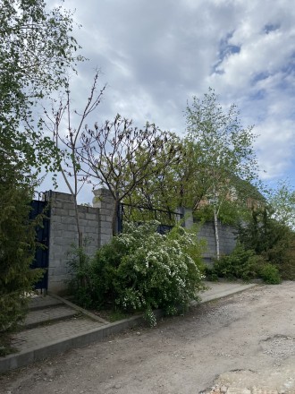 Продам земельну ділянку. Старая Балашовка. фото 4 Продам земельну ділянку Початок старої Балашівки . Вулиця Антонова Кад.номер 35. Старая Балашовка. фото 4