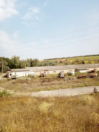 Продам фермерське господарство / виробниче приміщення. Вербовець. фото 1 Продам фермерське господарство / виробниче приміщення. Вербовець. фото 1