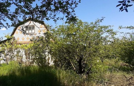 дача, 49.00 кв.м. Велика Офірна. фото 1 дача, 49.00 кв.м. Велика Офірна. фото 1