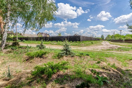 Сосновий ліс в подарунок.. . фото 4 І знову вас запрошую до мальовничого с. Микільське. Свіже лісове повітря, п`янки. . фото 4
