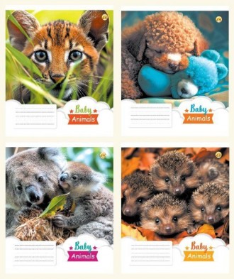 Набор тетрадей косая линия 12 листов 25 штук в упаковке ТЕ43107. Харьков. фото 1