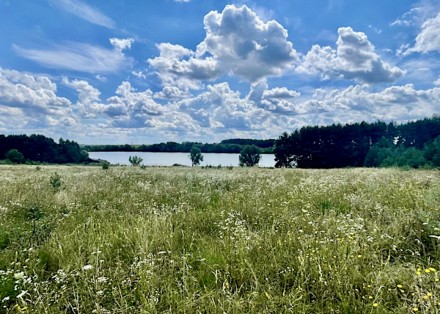 Ділянка під забудову с.Рівець , поруч озеро та ліс .. Винница. фото 1 Ділянка під забудову с.Рівець , поруч озеро та ліс .. Винница. фото 1