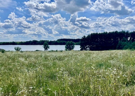 Ділянка в мальовничому с.Рівець поряд з водоймою та лісом !. Винница. фото 1 Ділянка в мальовничому с.Рівець поряд з водоймою та лісом !. Винница. фото 1