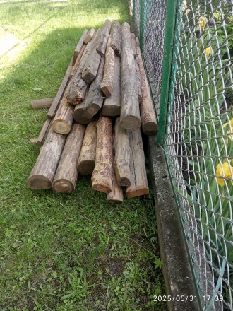 Колоди Деревини Сосна. Ровно. фото 1 Колоди Деревини Сосна. Ровно. фото 1