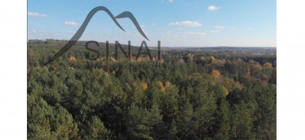 дом, 200.00 кв.м. . фото 8 БУДИНОК В ЛІСІ!
Будинок серед соснового лісу, що створює відчуття курортної з. . фото 8