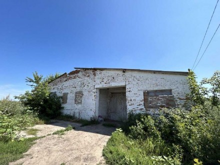 Свободное назначение, 3828.90 кв.м. Підліснівка. фото 1 Свободное назначение, 3828.90 кв.м. Підліснівка. фото 1