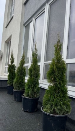 Продам 2к квартиру каховская 62а метро левобережная З речами. Киев. фото 1 Продам 2к квартиру каховская 62а метро левобережная З речами. Киев. фото 1