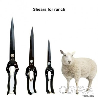 Ножиці для стриження овець FEL LONG — Wool-Shears. . фото 1
Ці ножиці являють собою ефективний інструмент, розроблений для стриження овець,. . фото 1