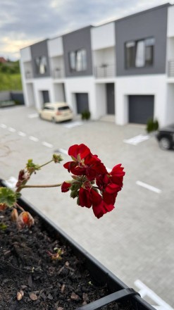 Продам хороший таунхаус з гаражем. Ровно. фото 1 Продам хороший таунхаус з гаражем. Ровно. фото 1