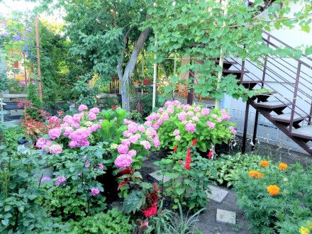 Оренда кімнат недорого. Одесса. фото 1 Оренда кімнат недорого. Одесса. фото 1