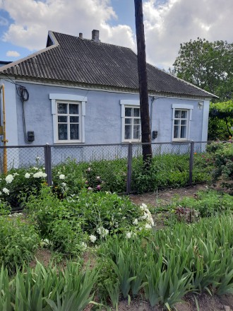 Продаж будинку від власника вул. Ольховська ( р-н взуттєвої фабрики). Кривий Ріг. фото 1 Продаж будинку від власника вул. Ольховська ( р-н взуттєвої фабрики). Кривий Ріг. фото 1