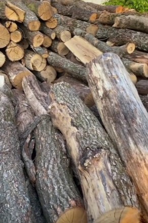 Продаємо дубові колоті дрова — Ківерці та область. Луцьк. фото 1 Продаємо дубові колоті дрова — Ківерці та область. Луцьк. фото 1