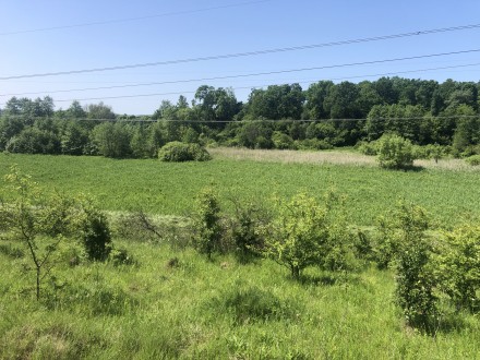 Терміновий продаж ділянки для індивідуального садівництва поблизу Львова. Жирівка. фото 1