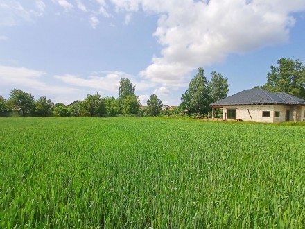 ПРОДАЖ ПРИВАТИЗОВАНОЇ ДІЛЯНКИ 15 сот В СТАРОМУ БІЛОУСІ, НАЙБЛИЖЧЕ ПЕРЕДМІСТЯ ЧЕР. Чернигов. фото 1 ПРОДАЖ ПРИВАТИЗОВАНОЇ ДІЛЯНКИ 15 сот В СТАРОМУ БІЛОУСІ, НАЙБЛИЖЧЕ ПЕРЕДМІСТЯ ЧЕР. Чернигов. фото 1