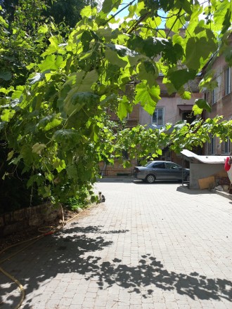 Продам 1 комн.квартиру,Одесса,центр. Одесса. фото 1 Продам 1 комн.квартиру,Одесса,центр. Одесса. фото 1