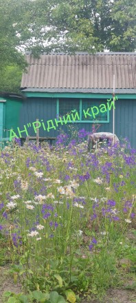 Терміново продамо компактну,затишну дачу поруч з сосни.лісом. Полтава. фото 1 Терміново продамо компактну,затишну дачу поруч з сосни.лісом. Полтава. фото 1