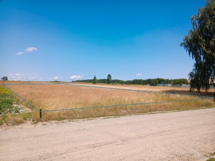 Земля під будівництво біля Олександрії. Олександрія. фото 1