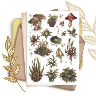 Стікерпак Forest. Суми. фото 1