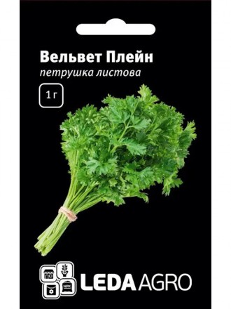 Семена петрушки Вельвет Плейн 1г "ЛедаАгро". Жидачев. фото 1 Семена петрушки Вельвет Плейн 1г "ЛедаАгро". Жидачев. фото 1