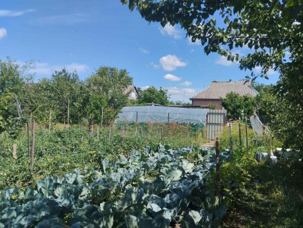 Продається будинок в Вакуленцях. Полтава. фото 1 Продається будинок в Вакуленцях. Полтава. фото 1