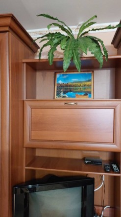 Здається 2 кімнатна квартира р-н. Бруклін  біля Парку Шевченка вул. Васильченка.. Центр. фото 5