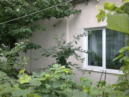 Квартира-Домик 22м² Дачная / Львовская / 13 станция Фонтана. Одеса. фото 1 Квартира-Домик 22м² Дачная / Львовская / 13 станция Фонтана. Одеса. фото 1