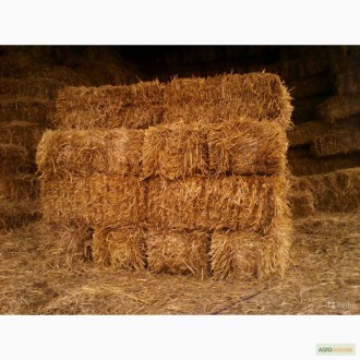 Продаж соломи в тюках. Новоукраинка. фото 1 Продаж соломи в тюках. Новоукраинка. фото 1