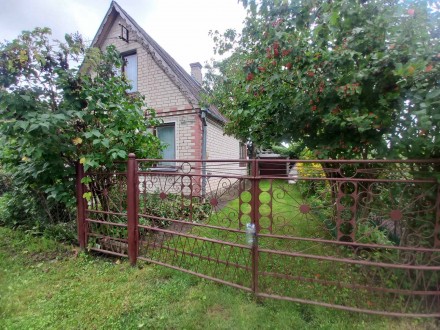 Здається в оренду дачний будинок. Новая Украинка. фото 1 Здається в оренду дачний будинок. Новая Украинка. фото 1