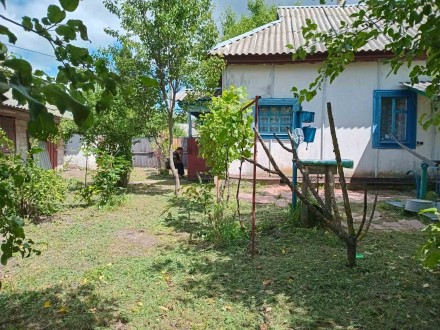 Будинок 47,7 м2 в с. Золотинка. Чернигов. фото 1 Будинок 47,7 м2 в с. Золотинка. Чернигов. фото 1