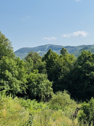 Продаж земельної ділянки в м.Косів. Косів. фото 1